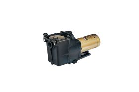 3/4 HP 115V 230V SUPER PUMP MAX RATED IG 1 1/2" FPT / NO INTERNET / BRICK MORTAR ONLY EXPERT LINE HAYWARD